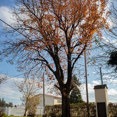 Σπίτι διακοπών Mouria